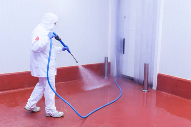 Best Commercial Pressure Washing in Arlington, TN